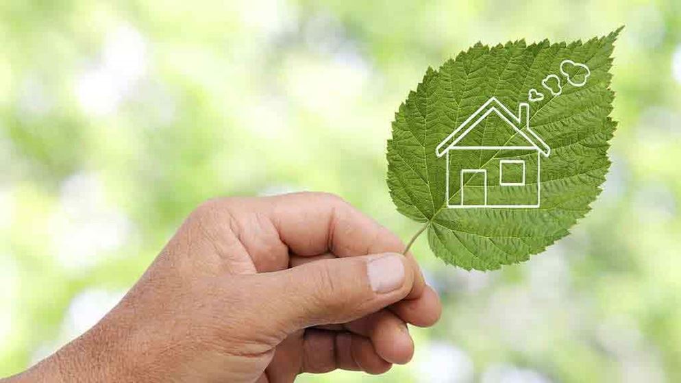 person-holds-leaf-with-house-on-it