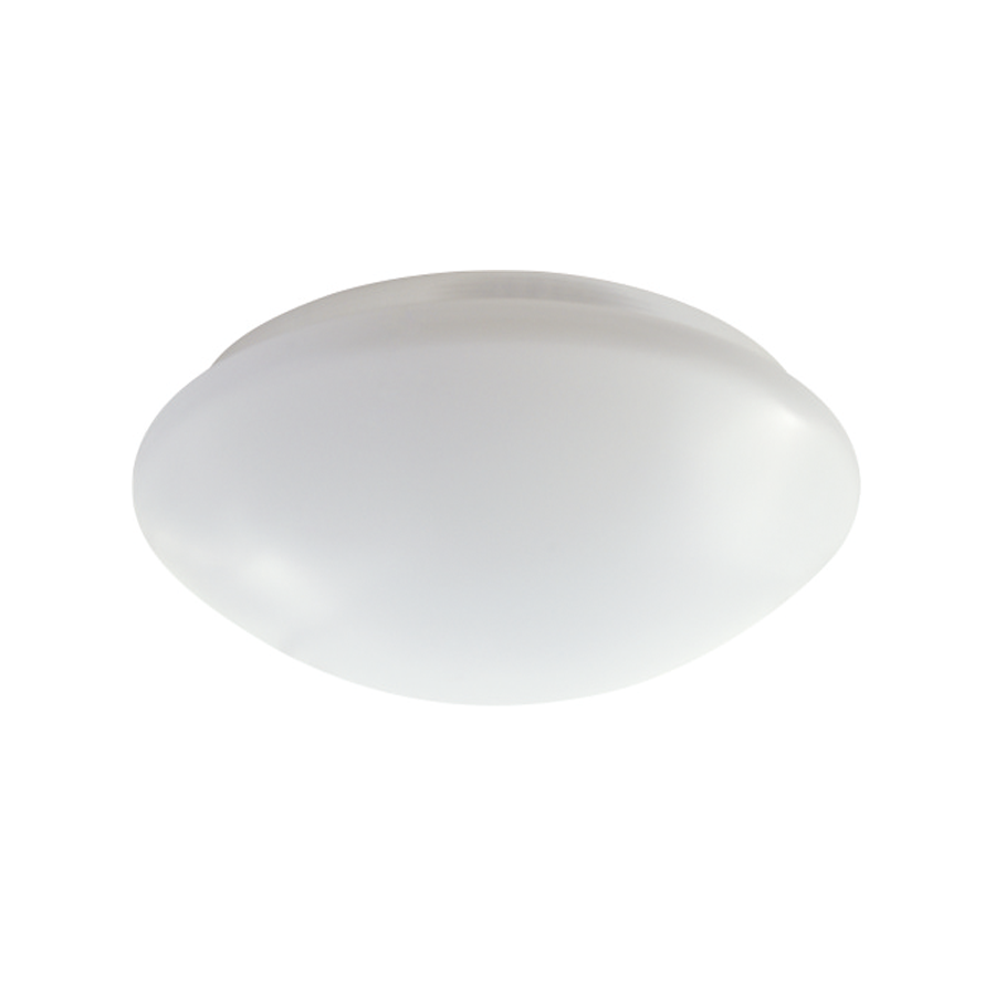 LED Ceiling Light