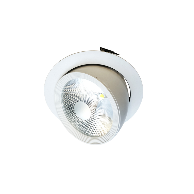 Shop Downlights